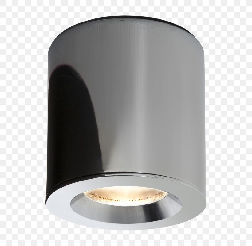 Light Fixture Lighting Bathroom Recessed Light, PNG, 625x800px, Light, Bathroom, Ceiling, Ceiling Fixture, Common Blackbird Download Free
