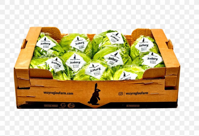 Veziroglou, A., & SIA E.E. Food Red Leaf Lettuce Butterhead Lettuce, PNG, 1700x1168px, Veziroglou A Sia Ee, Box, Butterhead Lettuce, Cuisine, Farm Download Free