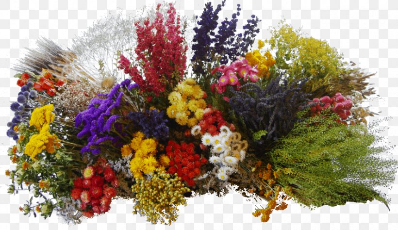 Floral Design Cut Flowers Plant Artificial Flower, PNG, 884x511px, Floral Design, Artificial Flower, Bonsai, Cut Flowers, Flora Download Free