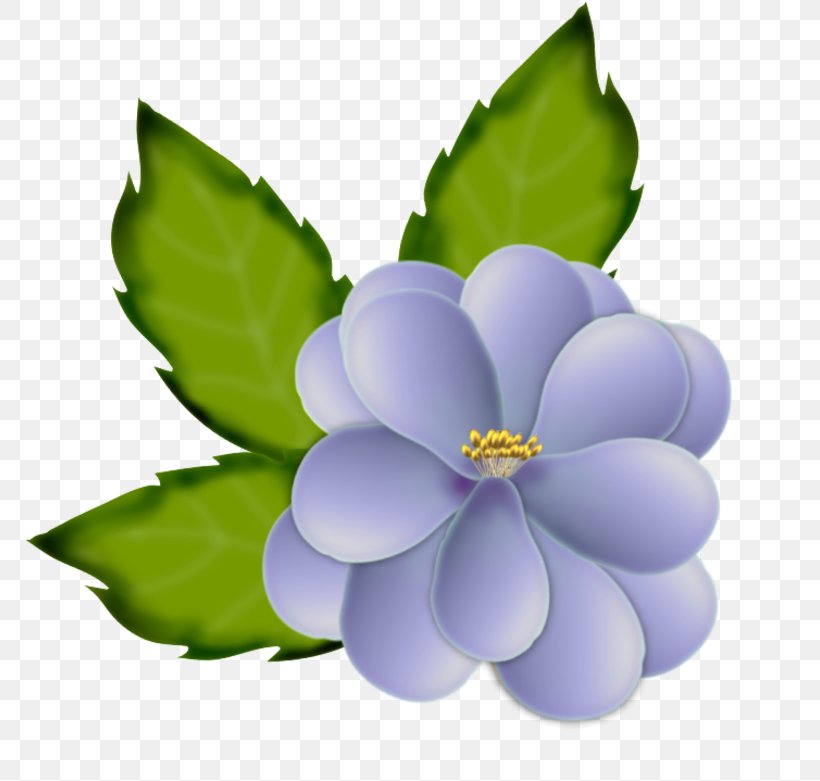 Flower Petal Painting Clip Art, PNG, 800x781px, Flower, Aquatic Plant, Blume, Drawing, Flowering Plant Download Free