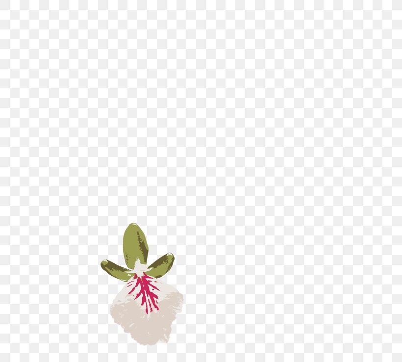 Flowering Plant, PNG, 800x738px, Flowering Plant, Flower, Petal, Plant Download Free