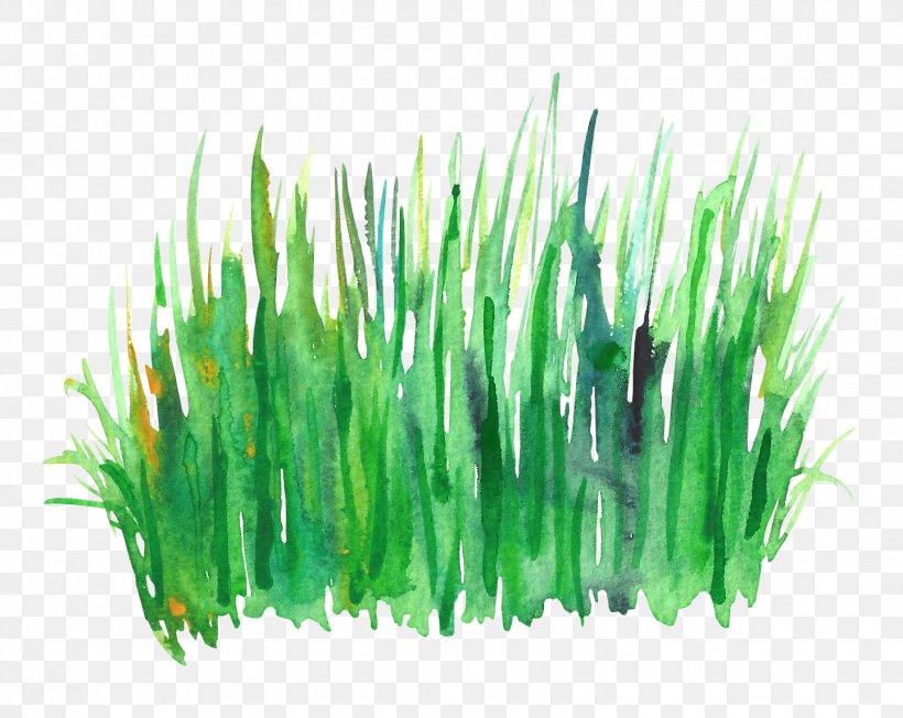 Green Watercolor Painting, PNG, 1441x1146px, Green, Aquarium Decor, Commodity, Facade, Grass Download Free