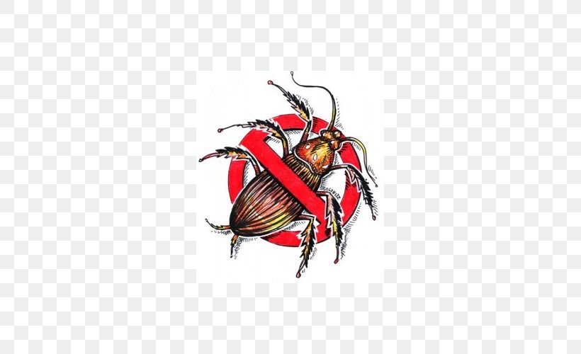 American Cockroach Pest Control Insect, PNG, 500x500px, Cockroach, American Cockroach, Arthropod, Bee Removal, Beetle Download Free