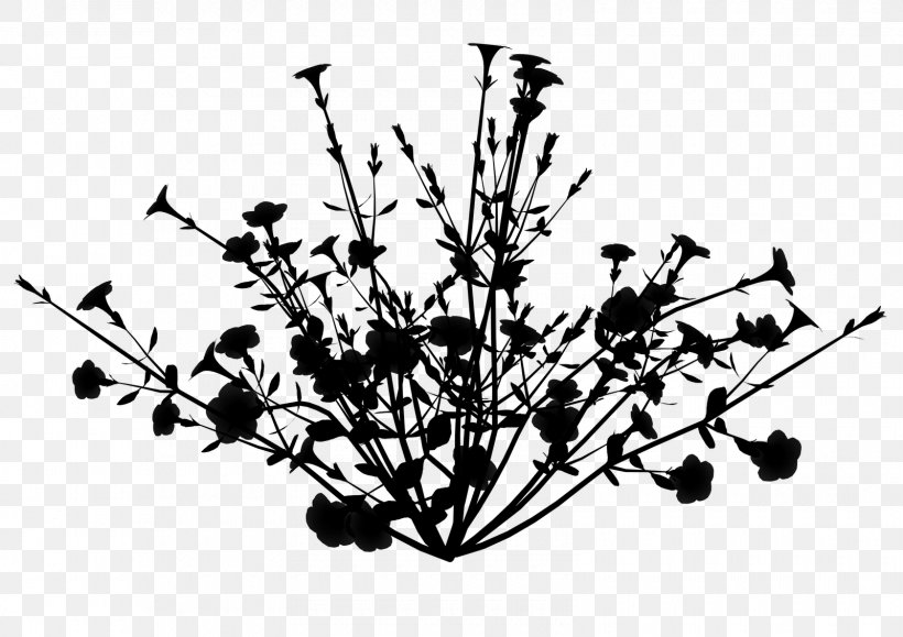Twig Plant Stem Flower Leaf Font, PNG, 1600x1131px, Twig, Blackandwhite, Branch, Flower, Flowering Plant Download Free
