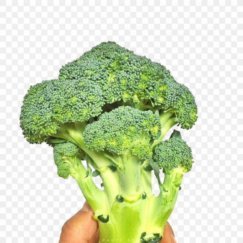 Broccoli Vegetable Cauliflower Icon, PNG, 2000x2000px, Broccoli, Cauliflower, Food, Green, Leaf Vegetable Download Free