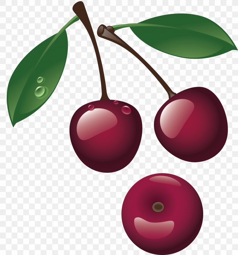 Cherry, PNG, 5505x5891px, Cherry, Berry, Food, Fruit, Plant Download Free