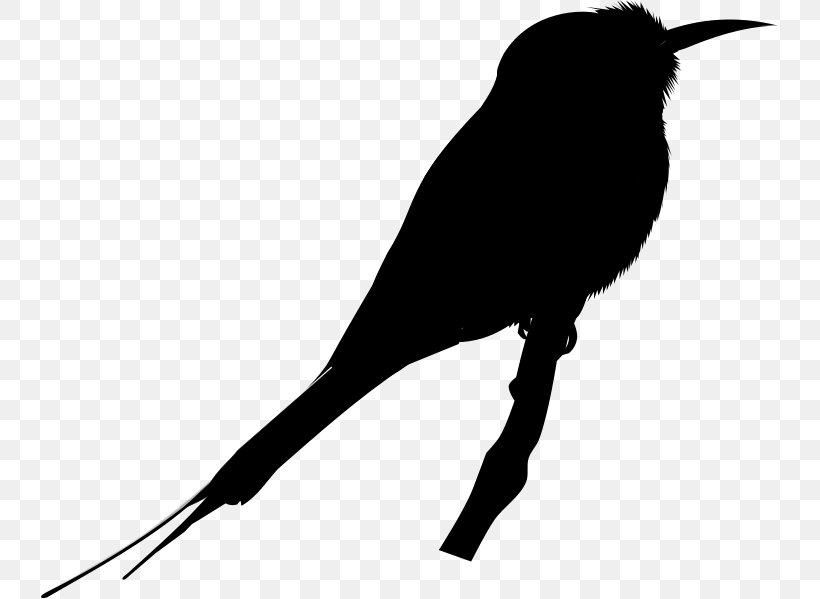 Beak Silhouette Font, PNG, 737x599px, Beak, Bird, Blackbird, Hummingbird, Perching Bird Download Free