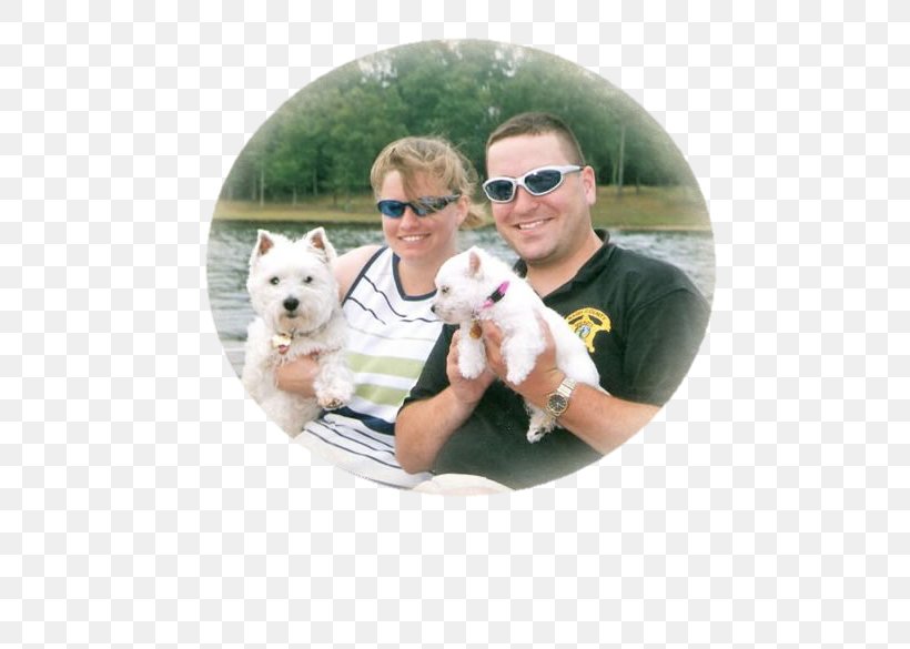 Dog Breed West Highland White Terrier Puppy North Carolina, PNG, 680x585px, Dog Breed, Breed, Breeder, Dog, Dog Like Mammal Download Free