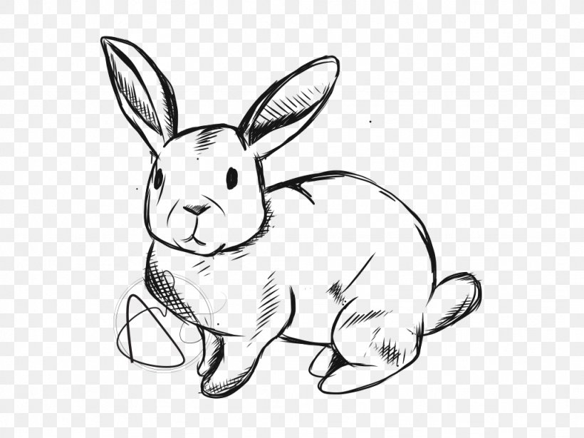 Domestic Rabbit Hare Line Art Whiskers Drawing, PNG, 1024x768px, Domestic Rabbit, Animal, Animal Figure, Artwork, Black And White Download Free