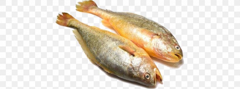 Fish Stock Photography Image, PNG, 1600x600px, Fish, Animal, Animal Source Foods, Depositphotos, Dreamstime Download Free
