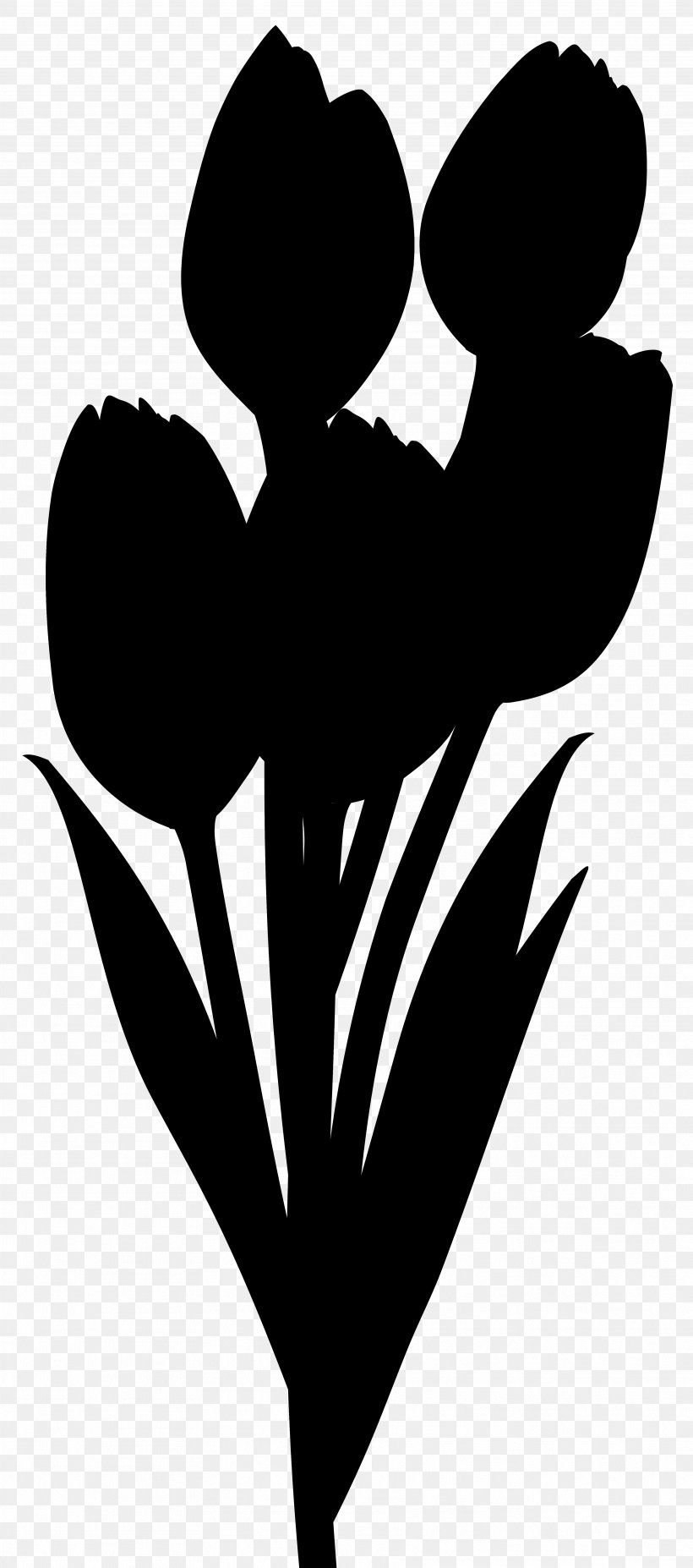 Flowering Plant Clip Art Heart Leaf, PNG, 3537x8000px, Flower, Blackandwhite, Flowering Plant, Gesture, Heart Download Free