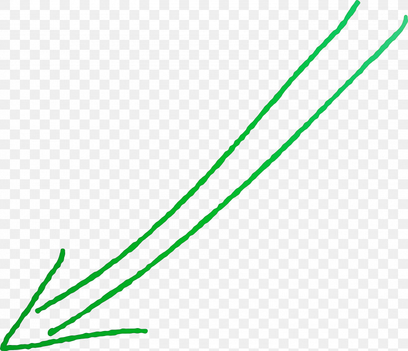 Hand Drawn Arrow, PNG, 3000x2581px, Hand Drawn Arrow, Green, Leaf, Line, Plant Download Free
