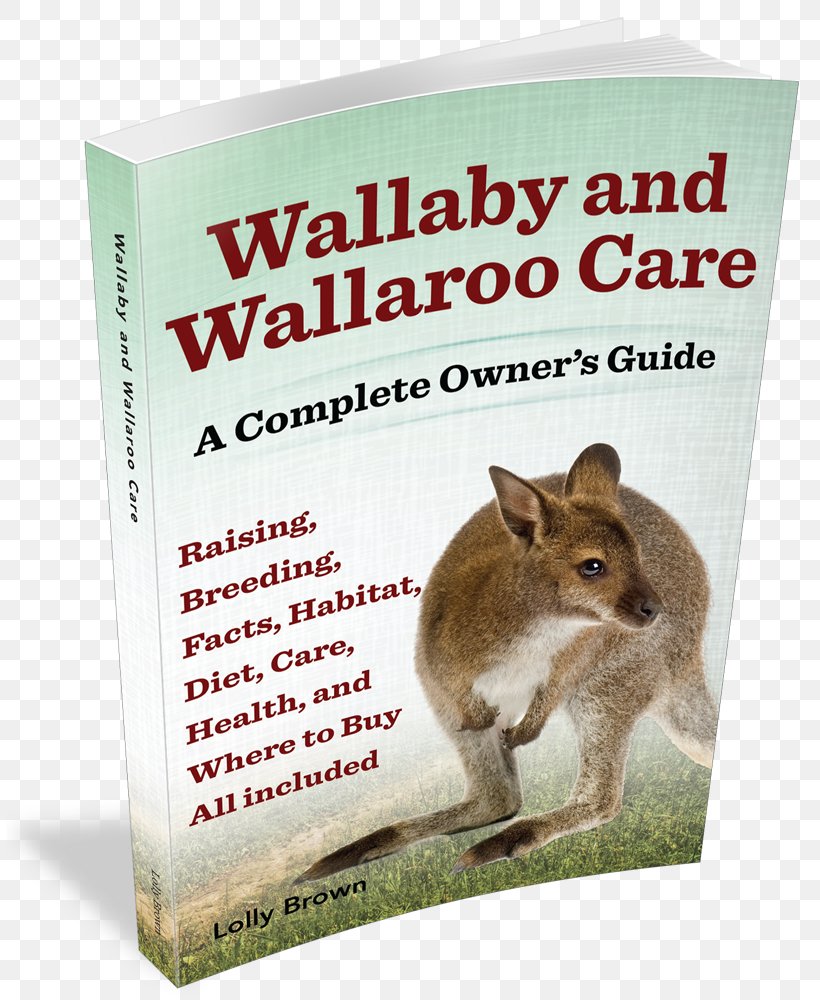 Wallaby And Wallaroo Care: A Complete Owner's Guide Rabbit Wallaby Reserve Axolotl, PNG, 807x1000px, Rabbit, Animal, Axolotl, Breed, Fauna Download Free