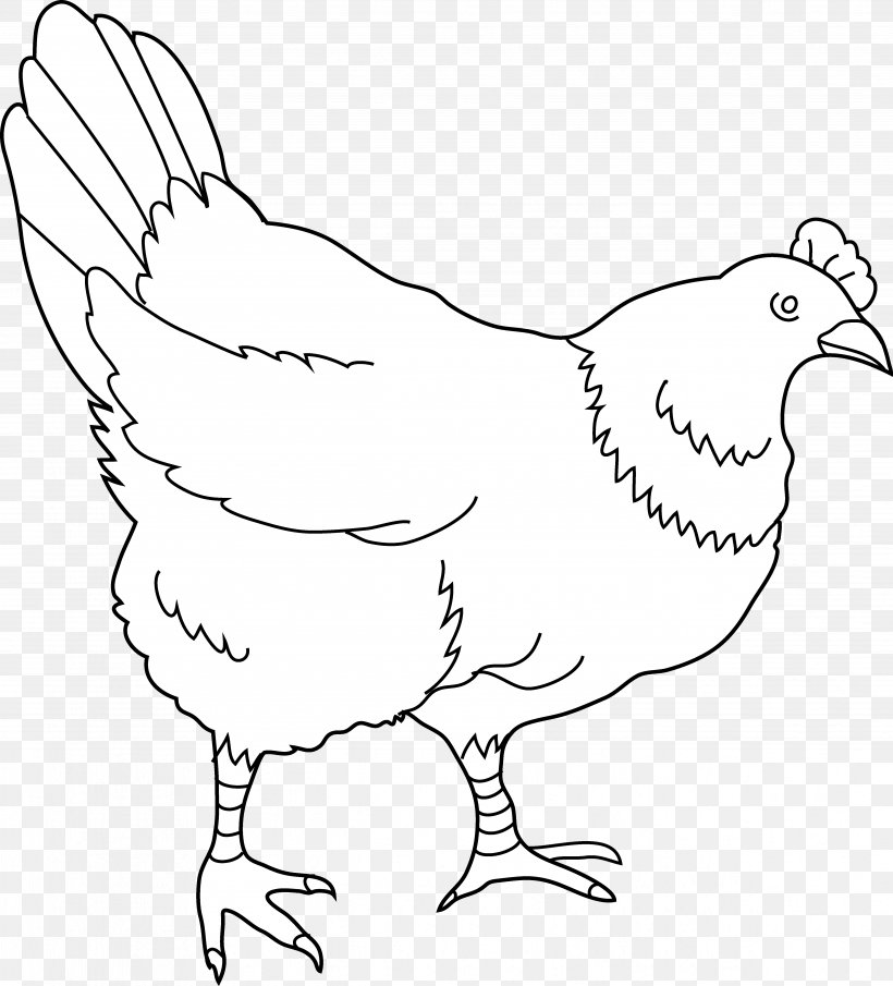 Chicken Drawing Black And White Clip Art, PNG, 4856x5363px, Chicken, Area, Artwork, Beak, Bird Download Free