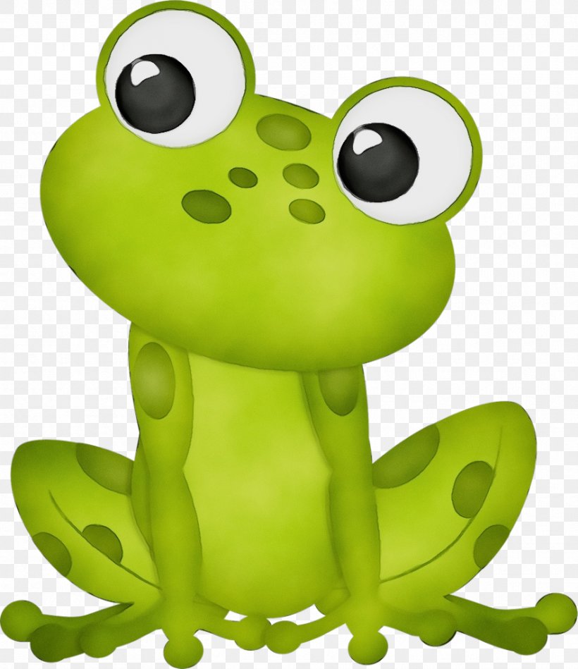 Green Clip Art Frog True Frog Cartoon, PNG, 884x1024px, Watercolor, Animal Figure, Cartoon, Frog, Green Download Free