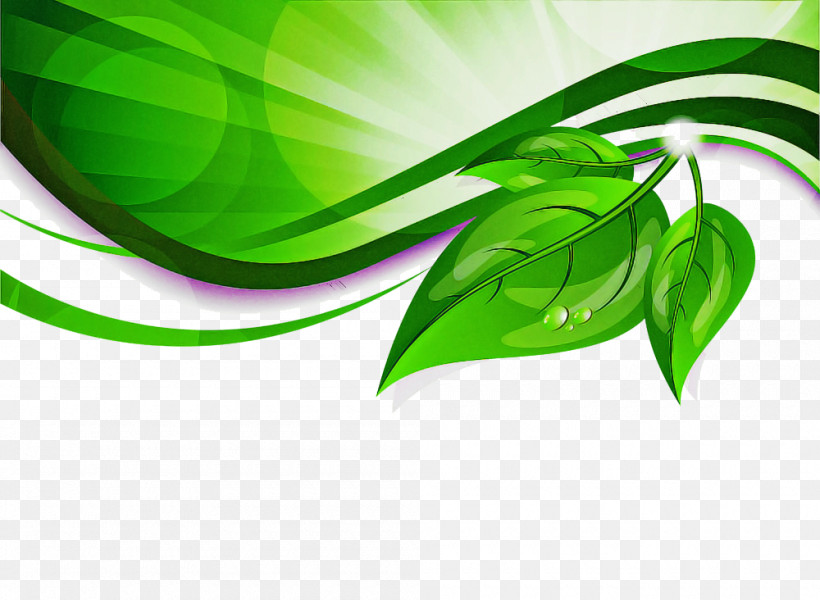 Green Leaf Plant Line Logo, PNG, 1000x732px, Green, Leaf, Line, Logo, Plant Download Free