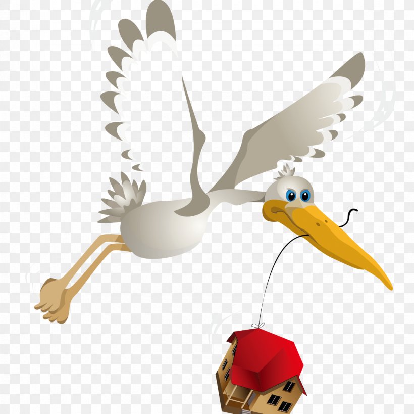 Mute Swan Bird Crane Pelican, PNG, 1181x1181px, Mute Swan, Beak, Bird, Crane, Cygnini Download Free