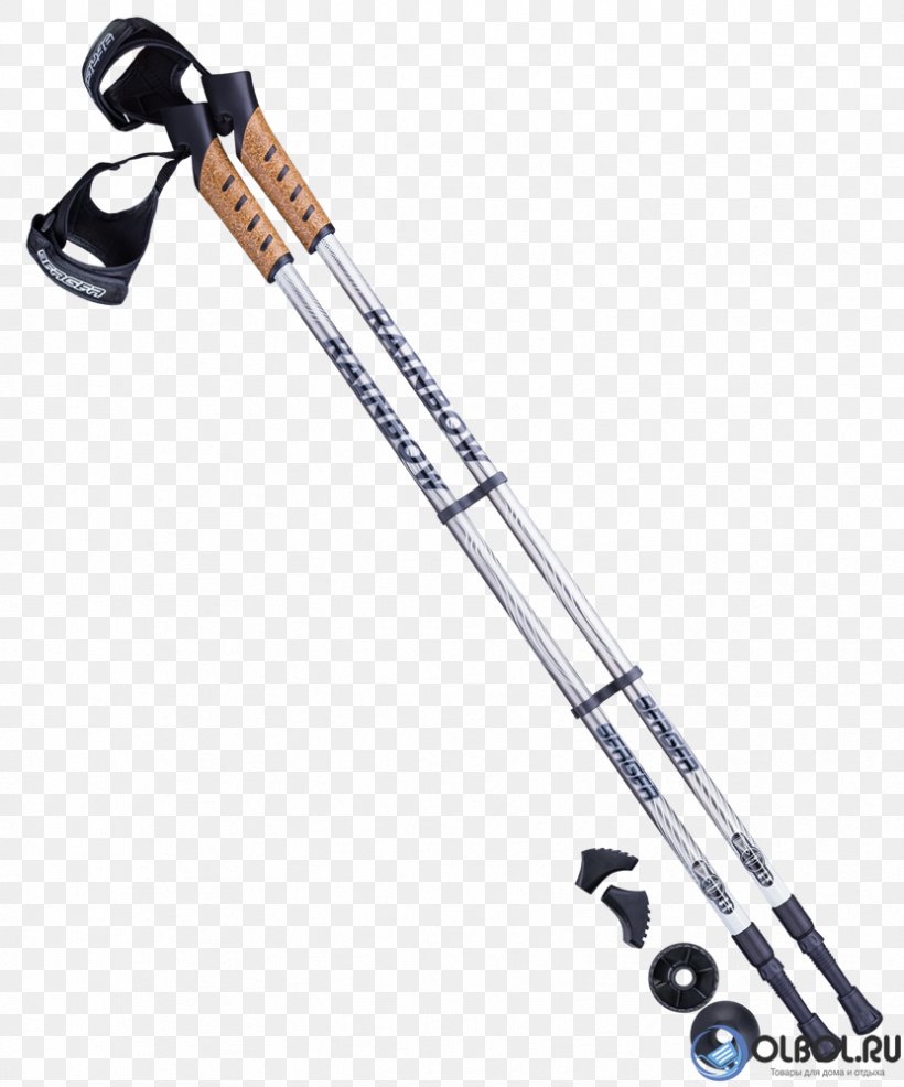 Nordic Walking Moscow Hiking Poles Artikel, PNG, 831x1000px, Nordic Walking, Artikel, Gait, Hiking Poles, Moscow Download Free