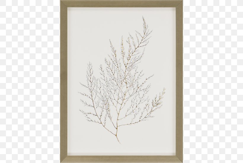 Picture Frames Wall Decal Painting Mirror, PNG, 550x550px, Picture Frames, Art, Branch, Floor, Foil Download Free