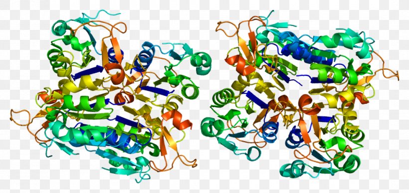 Thymidine Kinase 1 Protein GNAT1, PNG, 1070x506px, Thymidine Kinase 1, Art, Bead, Body Jewelry, Cancer Download Free