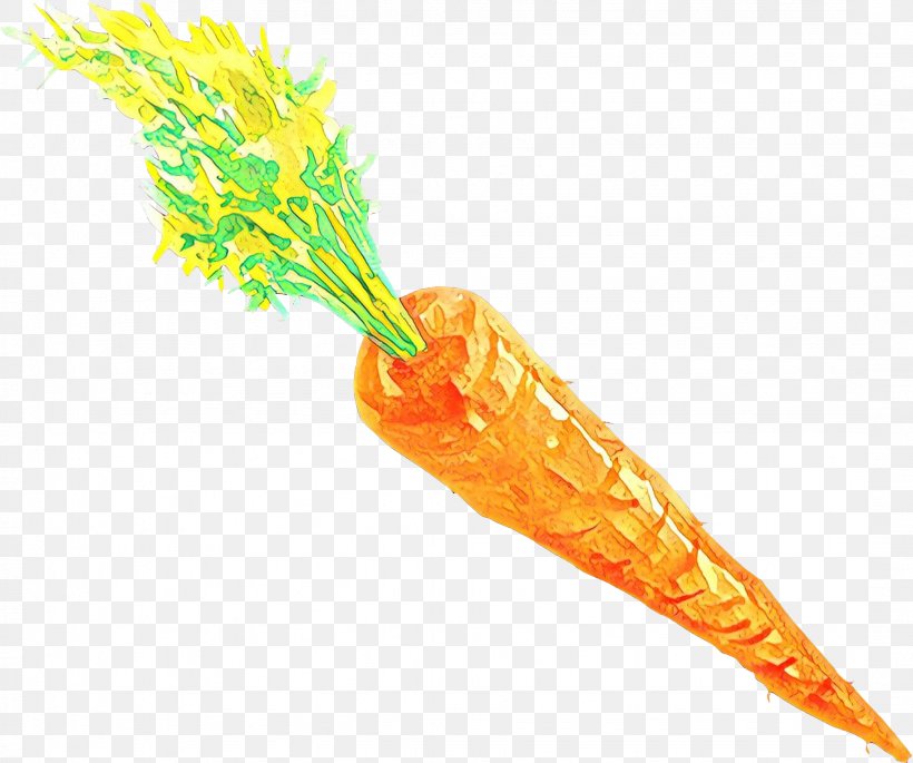 Carrot Cartoon, PNG, 2156x1802px, Cartoon, Carrot, Food, Orange, Organism Download Free