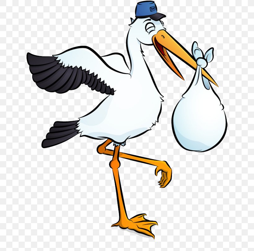 Clip Art White Stork Image, PNG, 650x810px, Stork, Artwork, Beak, Bird, Ducks Geese And Swans Download Free