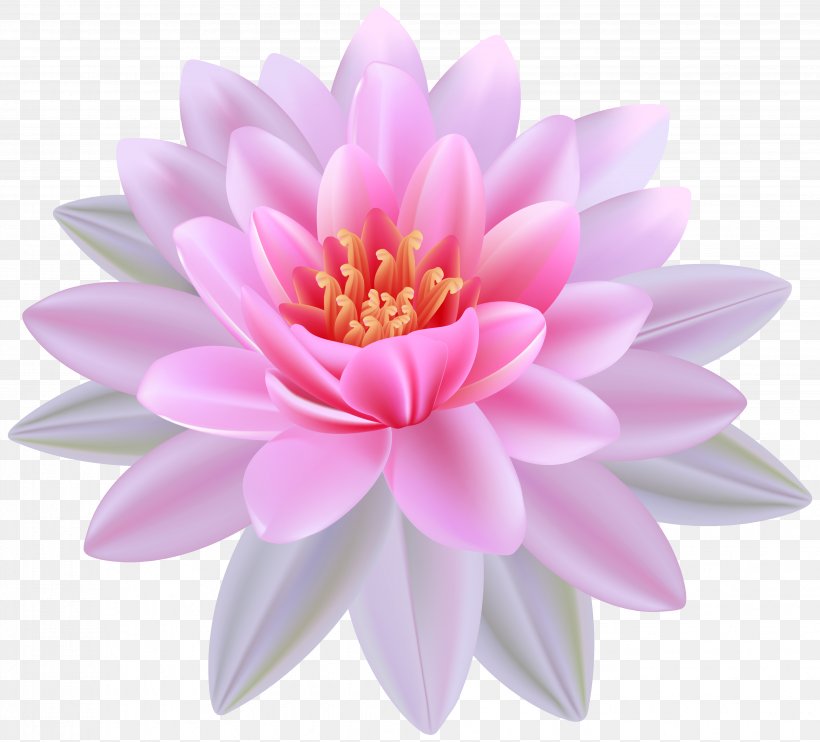 Egyptian Lotus Nymphaea Alba Clip Art, PNG, 4078x3691px, Nelumbo Nucifera, Aquatic Plant, Chrysanths, Dahlia, Daisy Family Download Free
