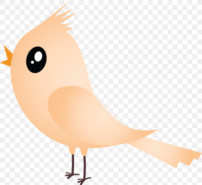 Orange, PNG, 3000x2750px, Cartoon Bird, Animation, Beak, Bird, Cartoon Download Free