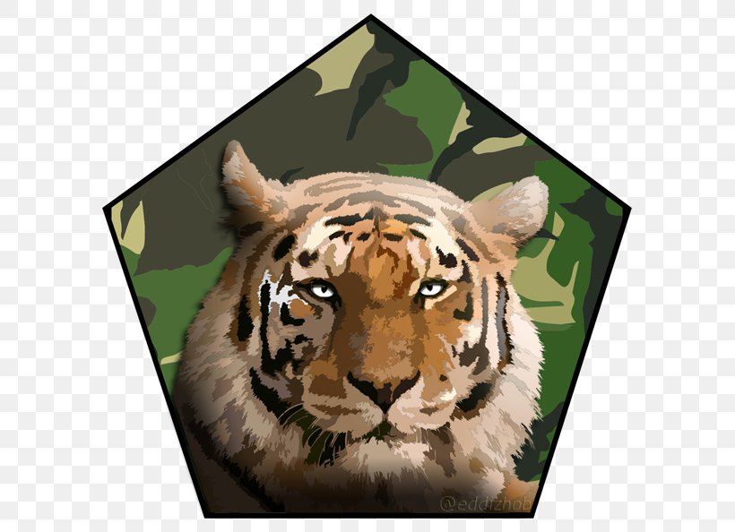 Tiger Lion Deseo, Pasion Y Espiritualidad: La Unidad Del Ser Whiskers Cat, PNG, 621x594px, Tiger, Arah, Bank, Big Cat, Big Cats Download Free