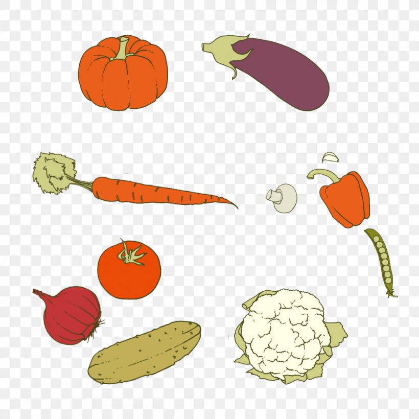 Carrot Vegetarian Cuisine Vegetable Pumpkin, PNG, 1000x1000px, Carrot, Cooking, Cuisine, Daucus Carota, Food Download Free