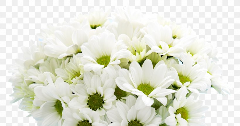 Desktop Wallpaper Image Clip Art Psd, PNG, 1200x630px, Data, Art, Blossom, Chrysanths, Cut Flowers Download Free