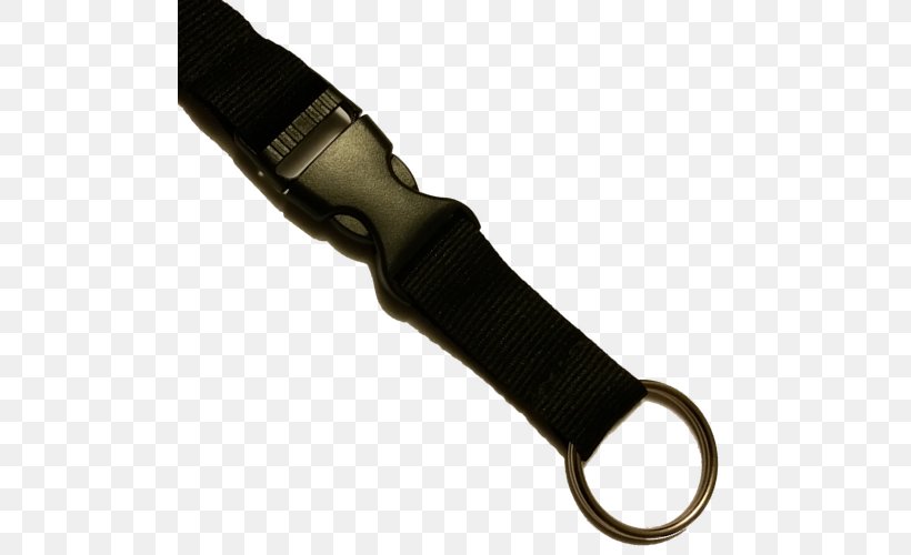 Air Force Instruction United States Air Force Lanyard Nike, PNG, 500x500px, Air Force Instruction, Air Force, Cristiano Ronaldo, Gift, Hardware Download Free