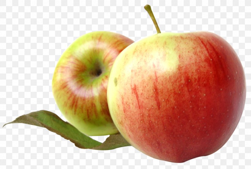 Apple Fruit Clip Art, PNG, 1280x863px, Apple, Al Fakher, Auglis, Diet Food, Food Download Free
