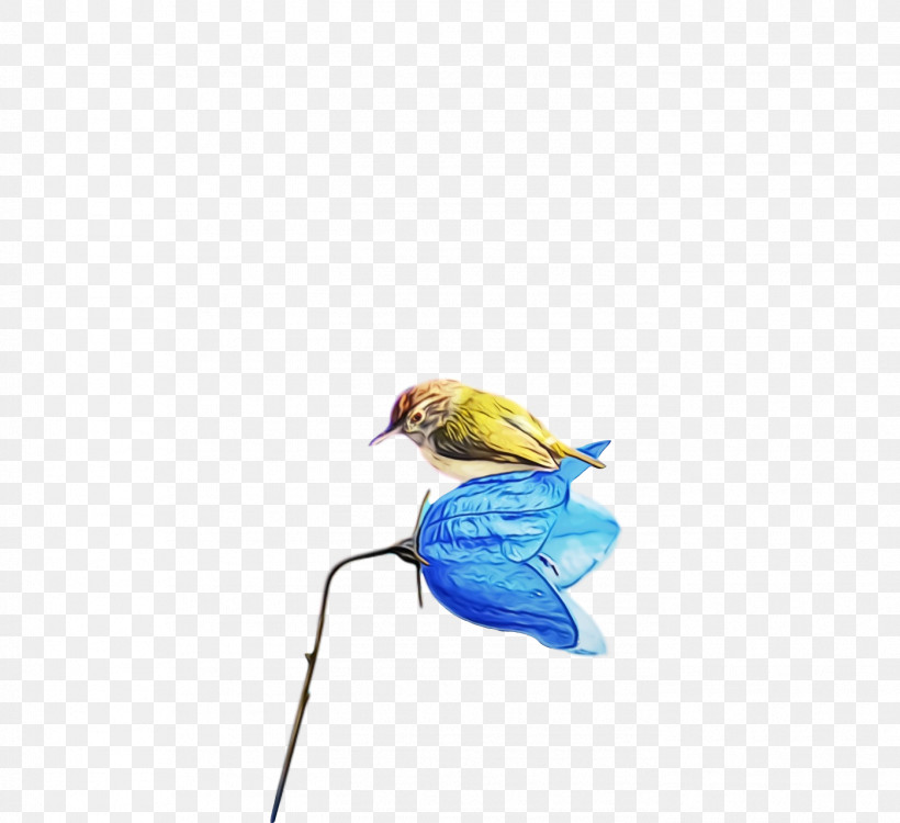 Bird Parrot Budgie Parakeet Beak, PNG, 1398x1280px, Bird, Beak, Budgie, Paint, Parakeet Download Free