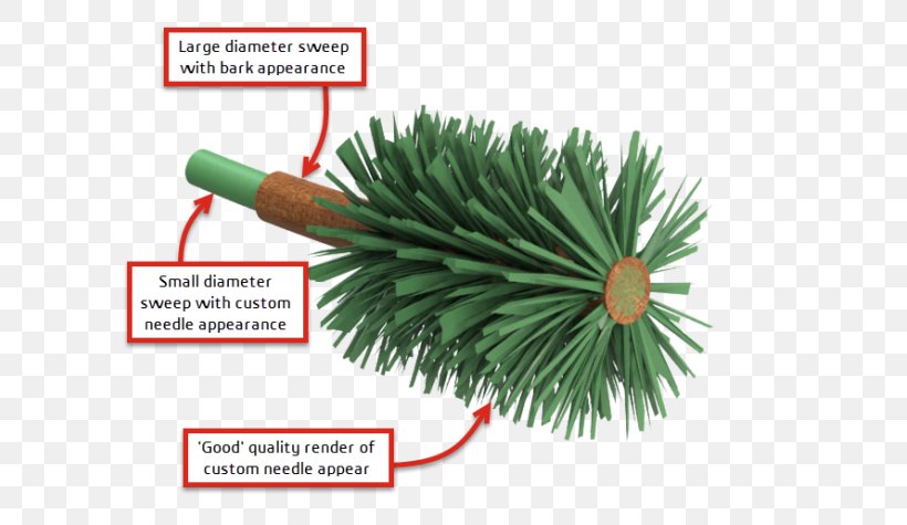 Fir SolidWorks Pine 3D Computer Graphics Spruce, PNG, 615x475px, 3d Computer Graphics, Fir, Cell, Challenge, Conifer Download Free