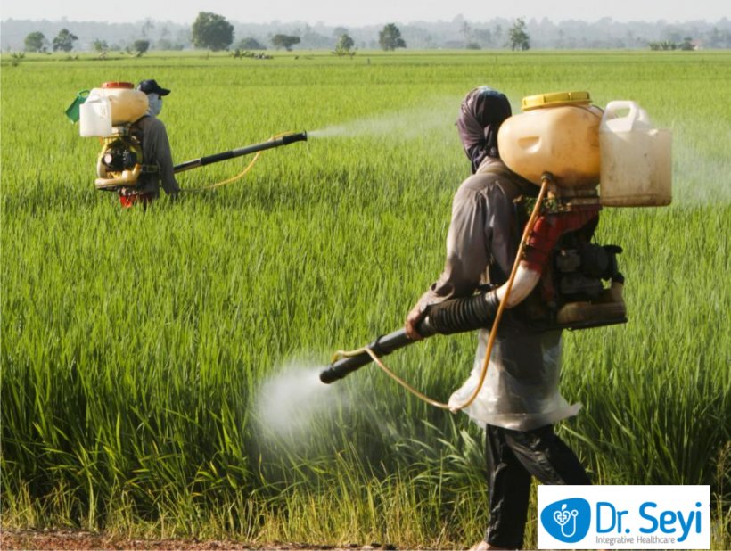 Herbicide Insecticide Fertilisers Water Pollution, PNG, 1333x1005px, Herbicide, Agriculture, Biopesticide, Commodity, Crop Download Free