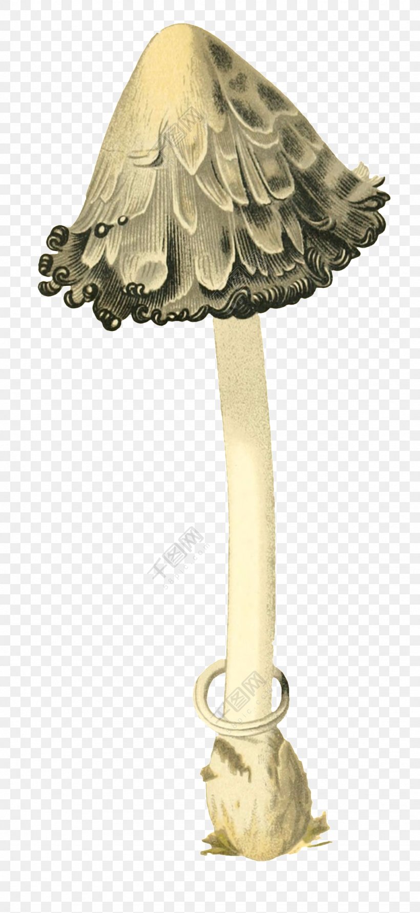 Stock Photography Royalty-free Mushroom Image, PNG, 1024x2226px, Stock Photography, Antique, Beige, Brass, Drawing Download Free