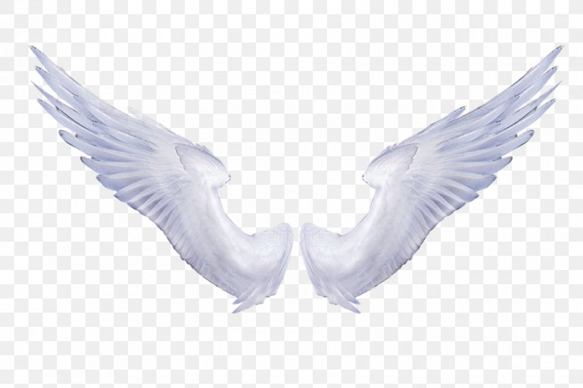 Wing Angel Clip Art, PNG, 900x600px, Wing, Angel, Beak, Digital Image, Feather Download Free