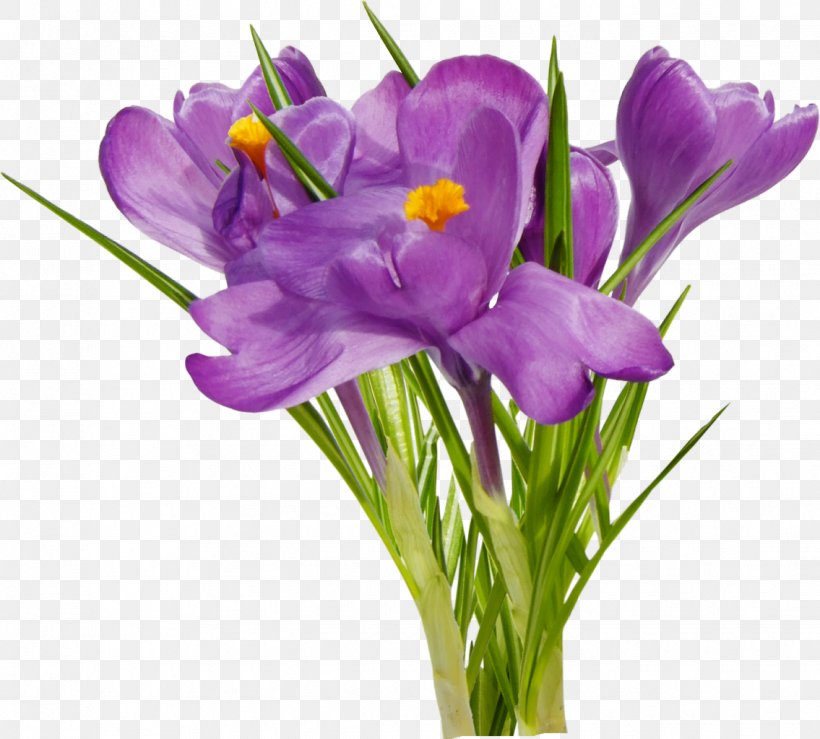 First Spring Flowers Clip Art, PNG, 1135x1024px, First Spring Flowers, Crocus, Cut Flowers, Flower, Flower Bouquet Download Free