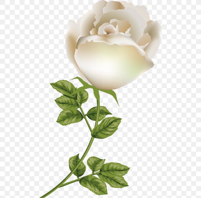 Garden Roses Floral Design Cut Flowers Petal, PNG, 500x809px, Garden Roses, Cape Jasmine, Cut Flowers, Floral Design, Floristry Download Free