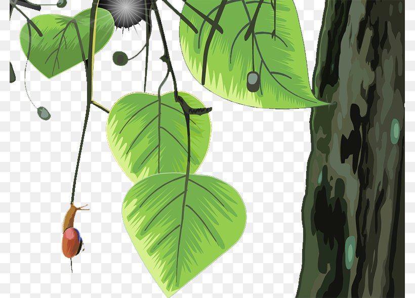 Leaf Branch Landscape Tree, PNG, 782x589px, Leaf, Arecaceae, Branch, Coconut, Flora Download Free