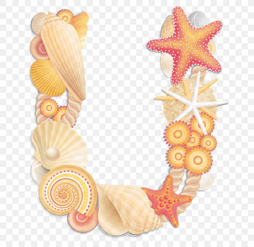 Shell Fashion Accessory Peach, PNG, 696x800px, Shell, Fashion Accessory, Peach Download Free