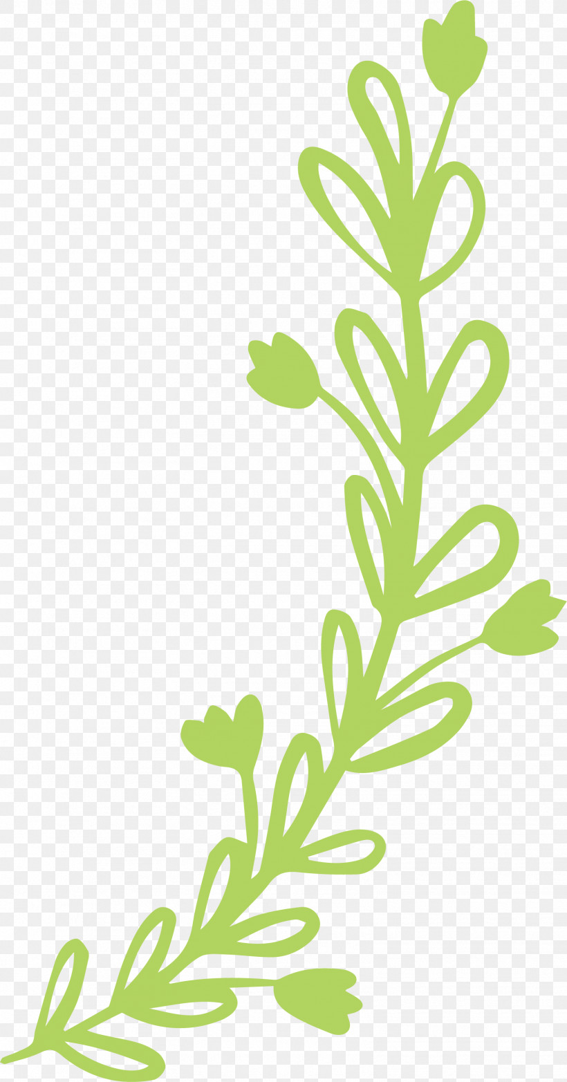 Branch Plant Stem Leaf Leaf Vegetable Grasses, PNG, 1567x2991px, Branch, Biology, Flower, Grasses, Leaf Download Free