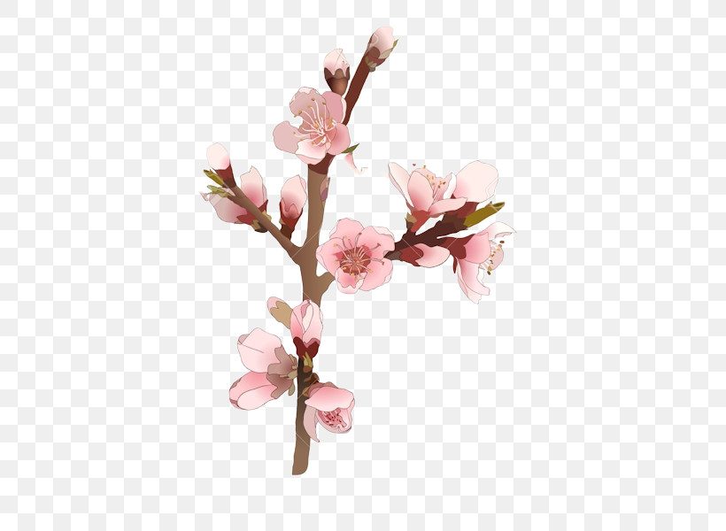 Cherry Blossom, PNG, 450x600px, Flower, Blossom, Branch, Butomus, Cherry Blossom Download Free