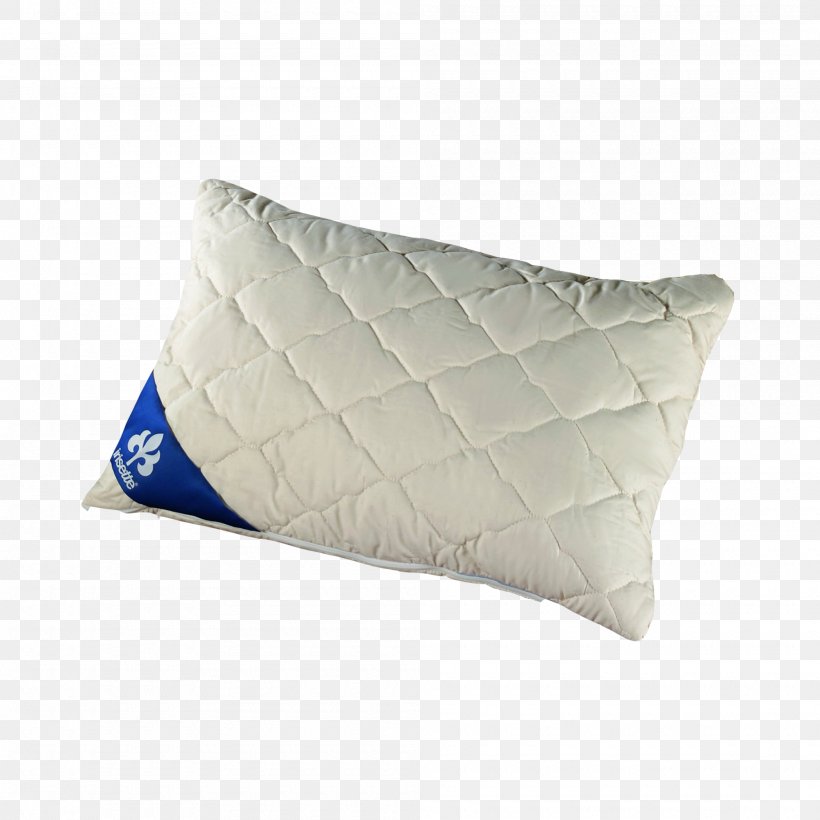 Pillow Körnerkissen Bedding Duvet Cotton, PNG, 2000x2000px, Pillow, Badenia Bettcomfort Gmbh Cokg, Bed Sheets, Bedding, Cotton Download Free