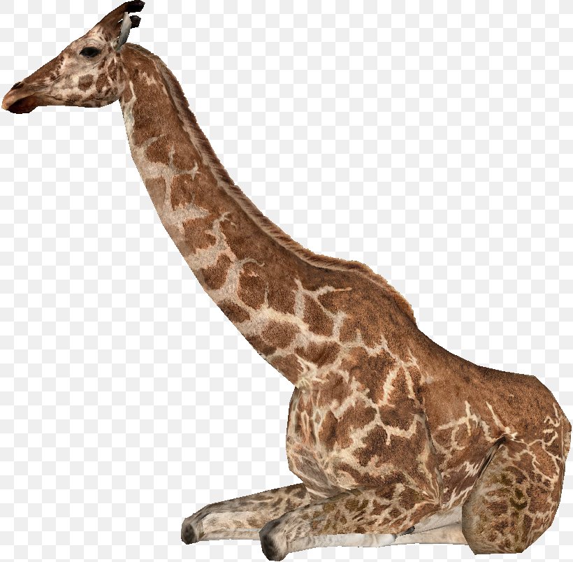 Zoo Tycoon 2: Extinct Animals Giraffa Jumae Northern Giraffe Even-toed Ungulates Giraffa Sivalensis, PNG, 816x804px, Zoo Tycoon 2 Extinct Animals, Animal, Animal Figure, Eventoed Ungulates, Fauna Download Free