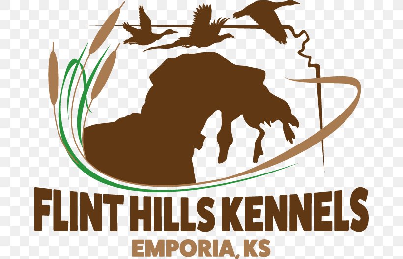 Flint Hills Gun Works Gun-dog Training Kennel, PNG, 681x527px, Gundog Training, Artwork, Brand, Carnivoran, Carnivores Download Free