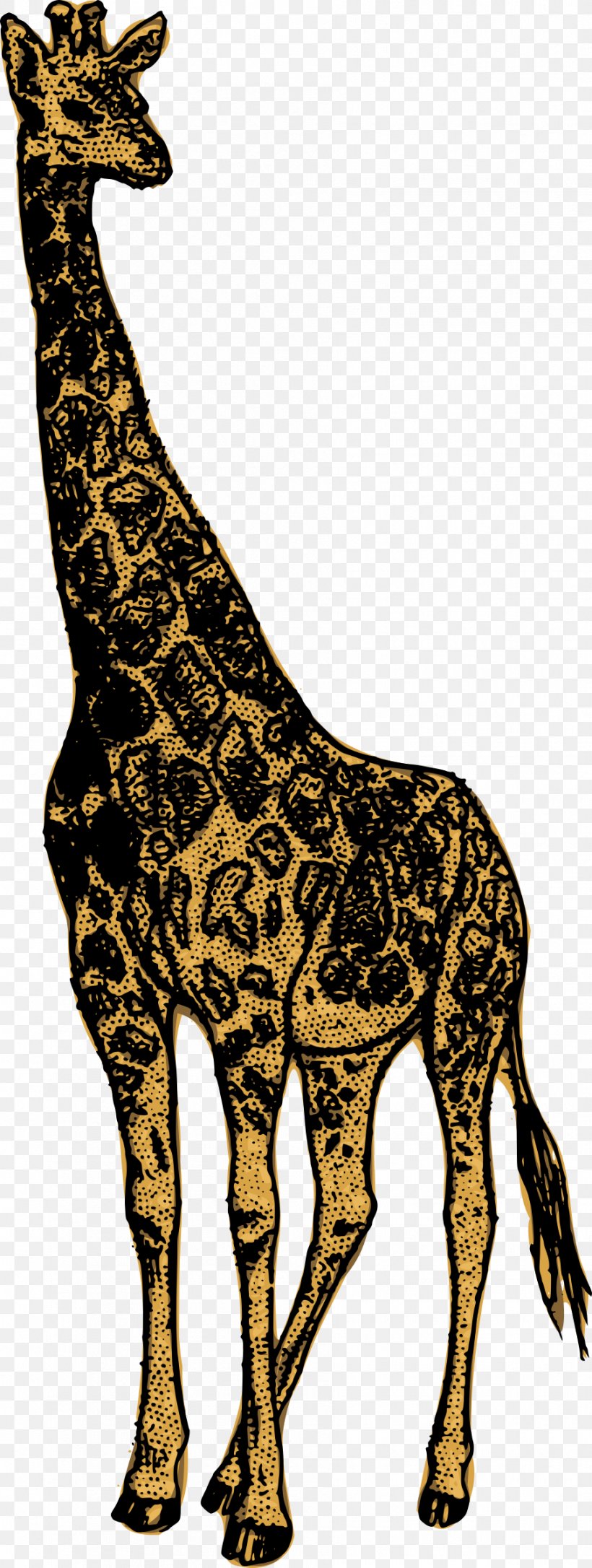 Giraffe Animal Clip Art, PNG, 906x2400px, Giraffe, Animal, Deer, Droide, Fauna Download Free