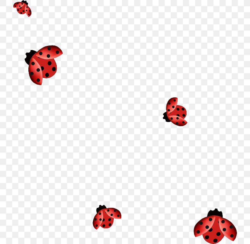 Ladybird Beetle Clip Art, PNG, 734x800px, Ladybird, Area, Coccinella Septempunctata, Heart, Insect Download Free