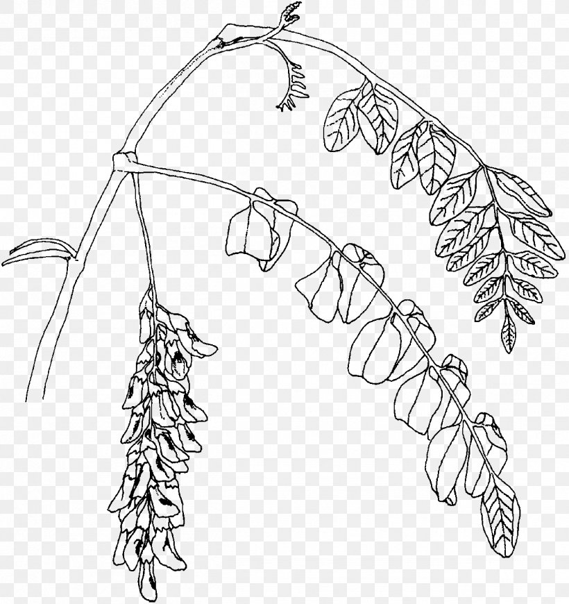 Twig Plant Stem Leaf Line Art, PNG, 1306x1386px, Twig, Black And White, Body Jewellery, Body Jewelry, Branch Download Free